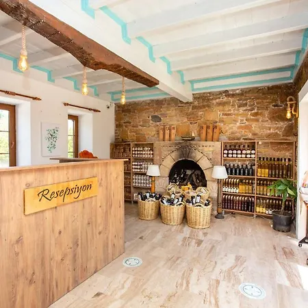 Patiska Butik Otel * داتْشا