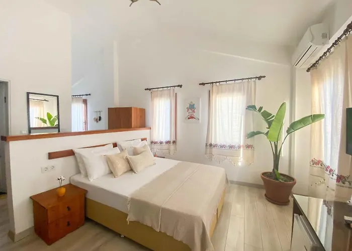 Ξενοδοχείο Patiska Butik Otel Datca